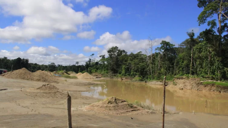 La minería ilegal devasta bosques en Amazonas