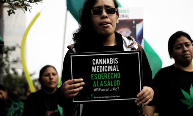 Cannabis medicinal ahora