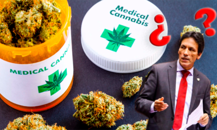 Cannabis medicinal: Las falsedades en el debate