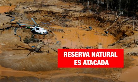 Bahuaja Sonene en peligro: biodiversidad atacada por la minería ilegal y el narcotráfico
