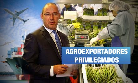 Estado exonera más de S/ 4 mil millones en impuestos a grandes agroexportadoras