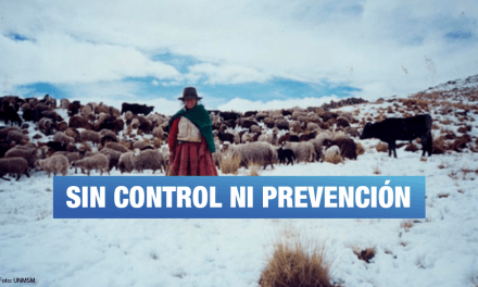 Contraloría: En 13 regiones no se distribuyó totalidad de abrigo a afectados por heladas y friaje