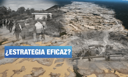 La interdicción, ¿lucha frontal contra la minería ilegal?, por Mirtha Vásquez