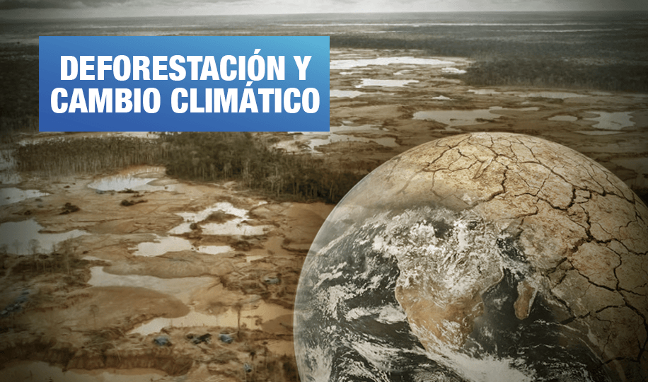 América Latina y el Caribe perdieron 96 millones de hectáreas de bosques en 15 años