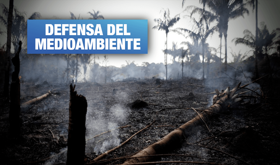 Estamos perdiendo la Amazonía y la batalla global, por José De Echave
