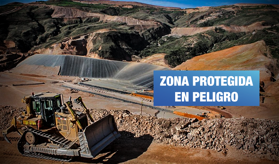 Tía María: Proyecto minero afectaría ecosistema frágil de Lomas de Cachendo