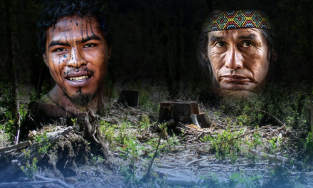 [GRÁFICA]: Defensores del Amazonas en peligro