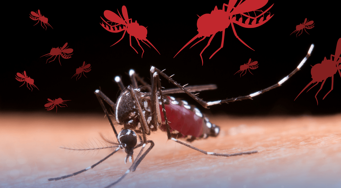 [GRÁFICA] ¿Perú es el único país de Latinoamérica afectado por el dengue?