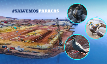 [GRÁFICA] Consorcio que impulsa puerto en Paracas amenaza con demanda al Estado peruano