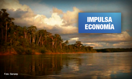 Nuevo estudio a nivel mundial afirma que áreas protegidas generan beneficios a la economía