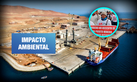 Reserva Nacional de Paracas: Alertan riesgos por almacenamiento de minerales en el puerto