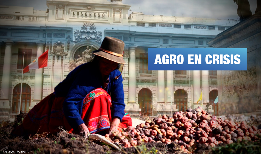 Pleno agrario: Congreso debatirá fondo de emergencia y pensiones para agricultores