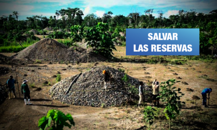 Los suelos degradados por la minería ilegal vuelven a la vida en la Amazonía del Perú