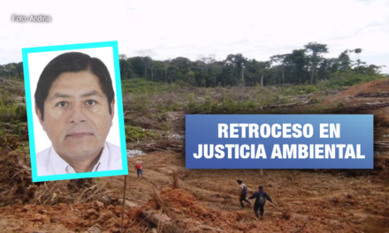 Tamshiyacu: Dejan sin efecto fallo que condenó a exgerente y empresa por deforestación de bosques