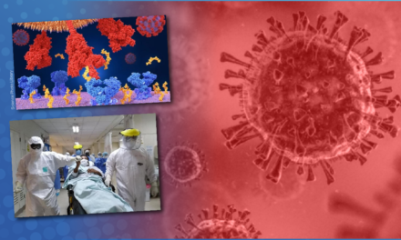 [GRÁFICA] La nueva variante de coronavirus llega al Perú
