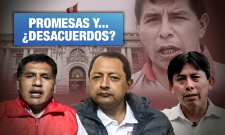 Las propuestas de los congresistas más votados de Pedro Castillo