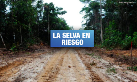 Construcción de carretera en Loreto pone en peligro pueblos indígenas en aislamiento y reservas ecológicas