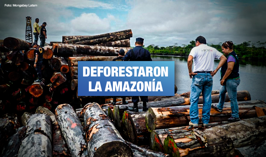 Empresa estadounidense deberá restituir US$200 mil a Perú por traficar madera ilegal