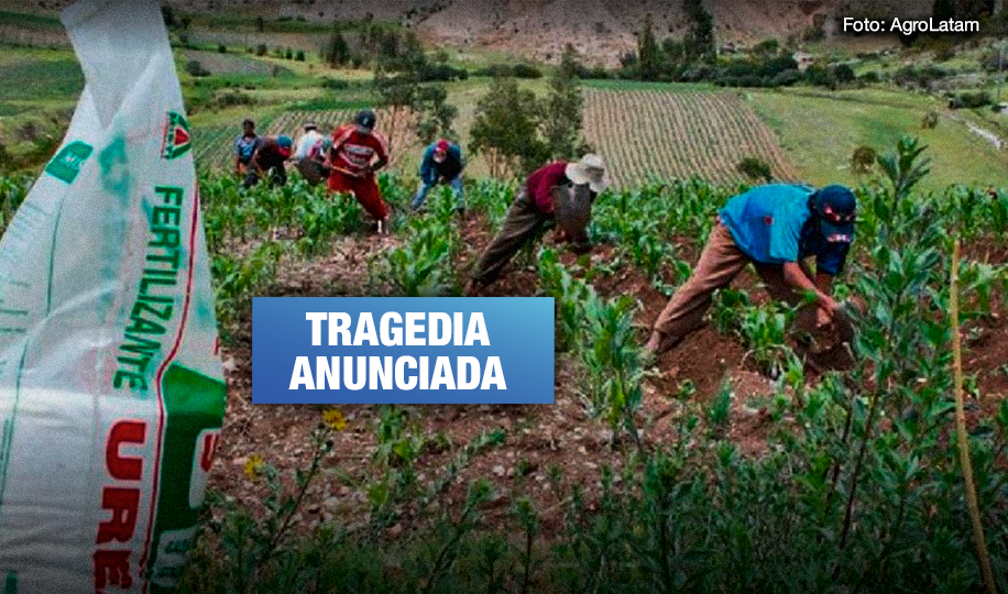 Escasez de fertilizantes causará crisis alimentaria en Perú y Gobierno sigue sin ofrecer soluciones