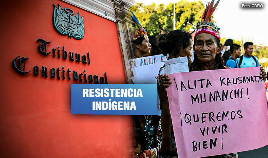 Los pueblos indígenas defienden su derecho a la consulta previa ante el Tribunal Constitucional
