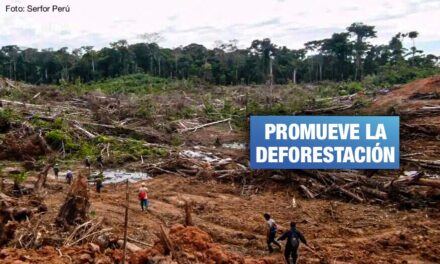 Congreso pretende aprobar modificación de ley que perjudica bosques amazónicos y comunidades indígenas