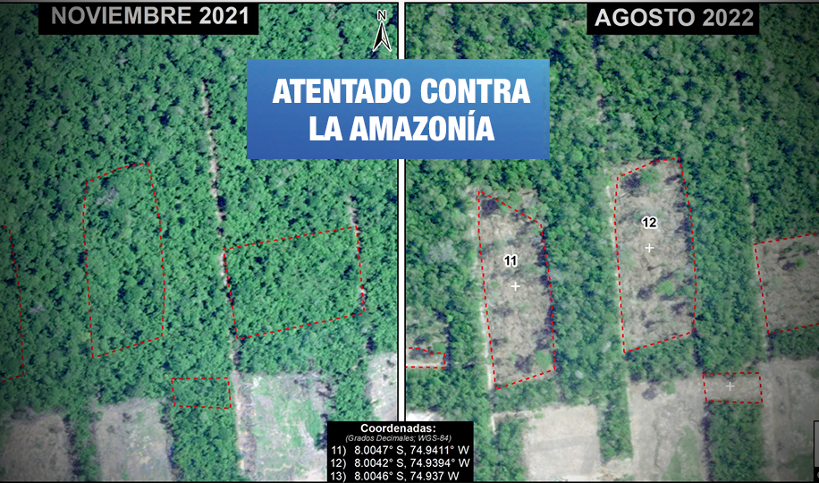 Imágenes satelitales revelan 90 hectáreas deforestadas donde reside colonia religiosa de Menonitas
