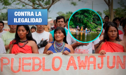 Indígenas awajún se enfrentan a mineros ilegales que operan cerca del río Cenepa