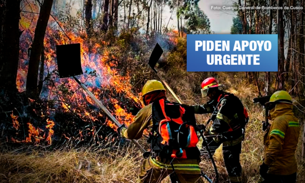 Incendios forestales en Cusco consumen reserva de vicuñas y reportan dos personas fallecidas