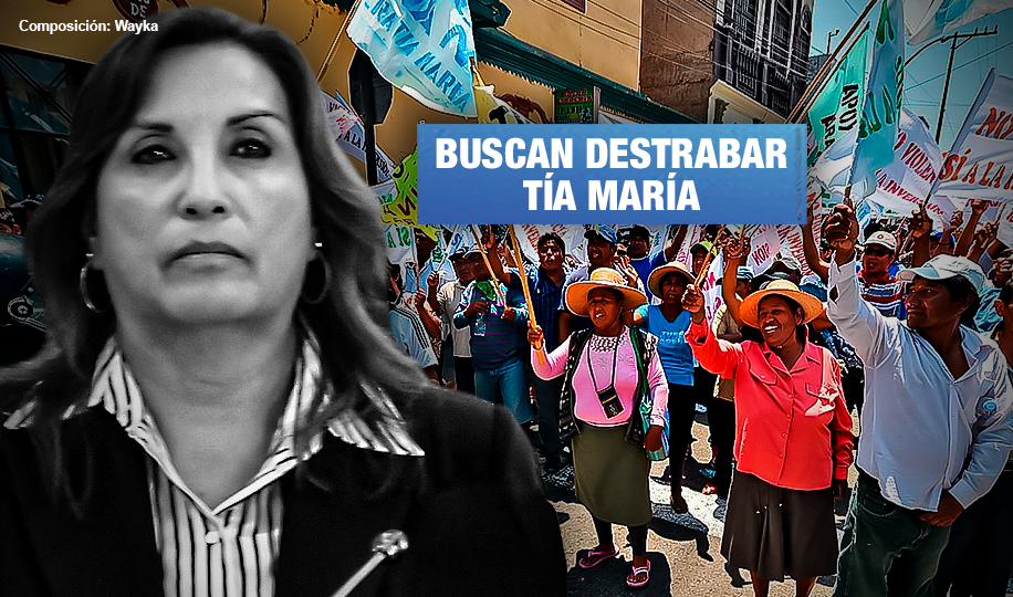 Anuncian protestas contra proyecto Tía María y Dina Boluarte