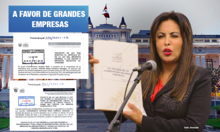 Los cuestionados proyectos de ley de Patricia Chirinos