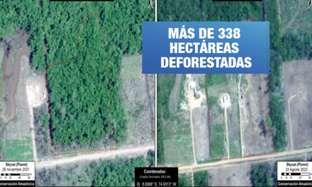 Poder Judicial ordena a la colonia religiosa Menonitas que detenga las actividades depredatorias de bosques en la amazonía