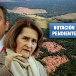 Abogados sustentaron la inconstitucionalidad de la Ley Forestal ante el Tribunal Constitucional